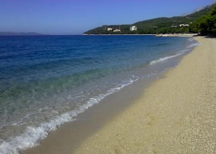 Malina