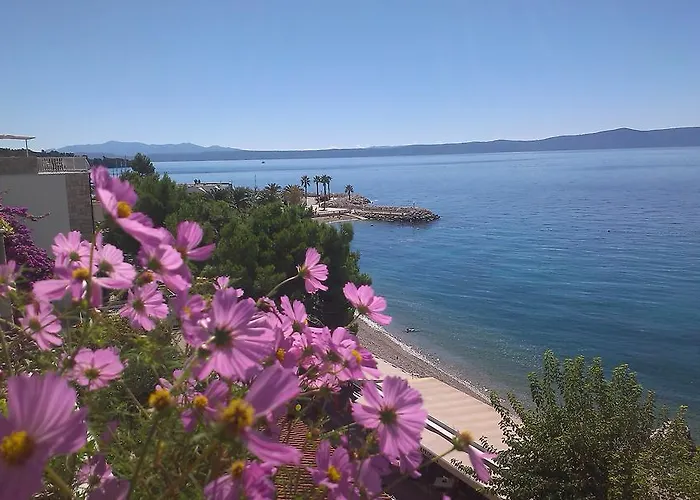 Apartament Malina